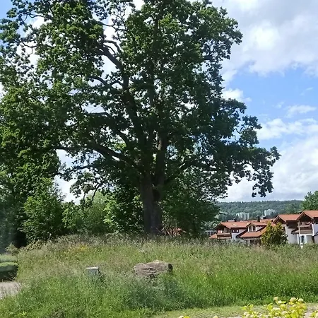 Apartament Hirtenbichel Immenstadt im Allgäu